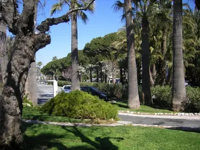 a group of palm trees in a park with a car at Karolina Properties - Appartement Commodore Croisette in Cannes