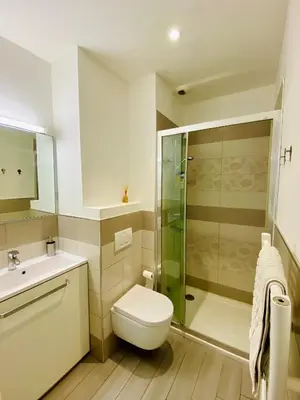 a bathroom with a shower and a toilet and a sink at Deux pièces proche Palais et plages in Cannes