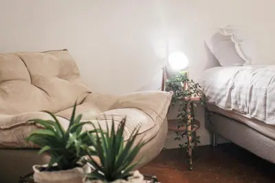a bedroom with a bed and a lamp and plants at Best quality price ! - Central - 350m Palais and Croisette in Cannes