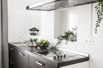 a kitchen with a sink and a counter with plants at Best quality price ! - Central - 350m Palais and Croisette in Cannes