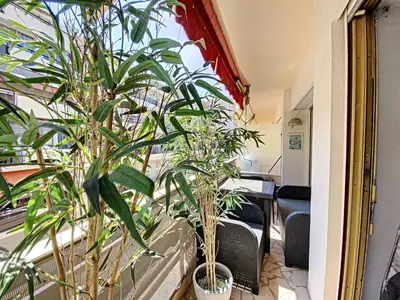 a row of potted plants in a room at Imperial Croisette FER3417 studio in Cannes