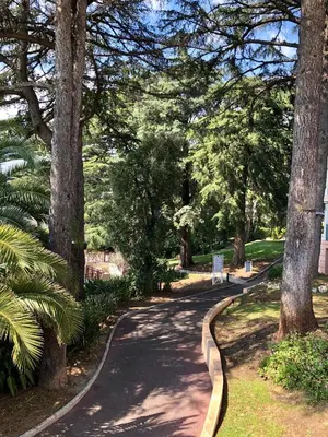 a winding road in a park with trees at T2 superbe vue mer Cannes in Cannes