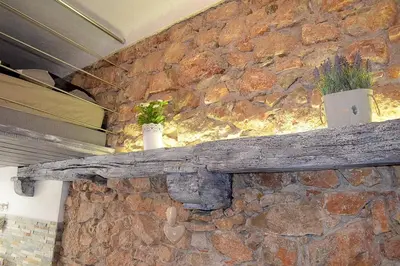 a stone wall with two potted plants on a log at Cannes croisette in Cannes