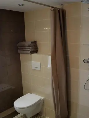 a bathroom with a toilet and a shower at Cannes croisette in Cannes