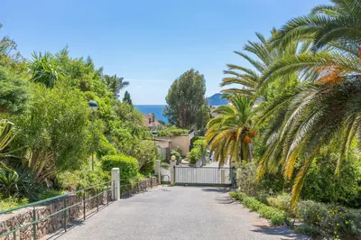 a driveway leading to a house with palm trees at Appartement vacances cannes in Cannes