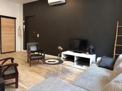 a living room with a couch and chairs and a tv at Centre ville 10 min de la Croisette/Downtown in Cannes