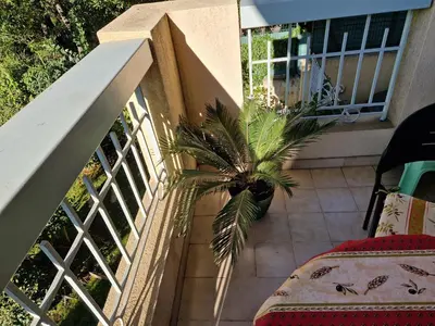 a palm tree sitting on the side of a balcony at Cannes près Croisette beau 2 pièces 3 étoiles in Cannes