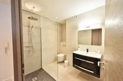 a bathroom with a shower and a toilet and a sink at 3-Room Apartment in the Heart of Cannes in Cannes