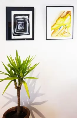a plant in a pot in front of two paintings at CANNES - À DEUX PAS DU PALAIS DES FESTIVALS in Cannes