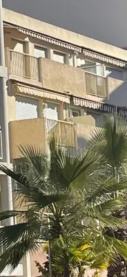 a large building with palm trees in front of it at Émeraude Croisette in Cannes