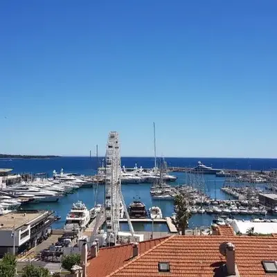 O Festival Palace