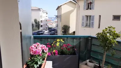 a balcony with flowers on a balcony at Appartement raffiné Cannes in Cannes