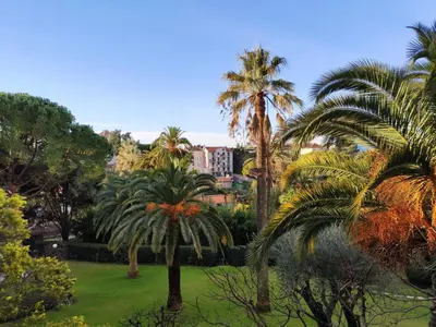 a group of palm trees in a park at Très beau T2 dans parc montfleury ,proche centre ,au calme 44 bd Montfleury in Cannes
