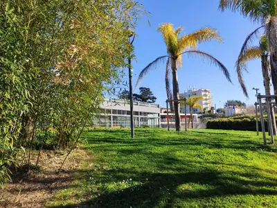 a park with palm trees and a building at Très beau T2 dans parc montfleury ,proche centre ,au calme 44 bd Montfleury in Cannes
