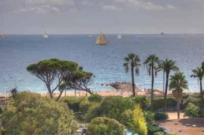 a view of a beach with palm trees and sailboats at BEL APPARTEMENT PROCHE PLAGE ET CENTRE VILLE in Cannes