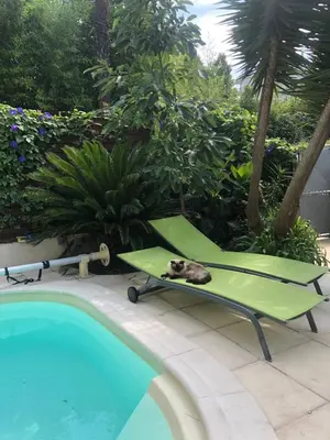 a cat laying on a chair next to a swimming pool at VILLA BEAUSEJOUR in Cannes