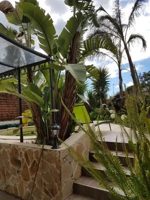 a garden with palm trees and a street light at VILLA BEAUSEJOUR in Cannes