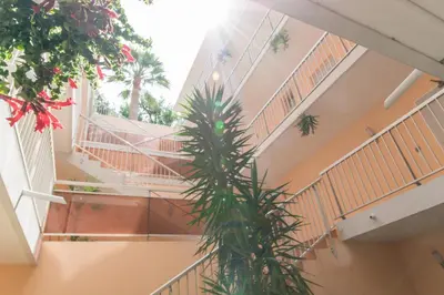 a palm tree in front of a building with stairs at Résidence Villa Livia in Cannes