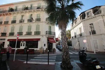 a palm tree and a building on a city street at Cannes Heart of town Cozy bright warm & sunny studio by Olam Properties in Cannes