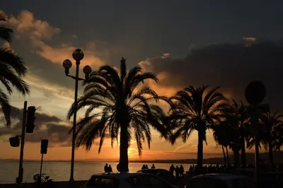 a group of palm trees in front of a sunset at Spacious Luxury apt, 12 min walk to Croisette beach and Conf Centre in Cannes