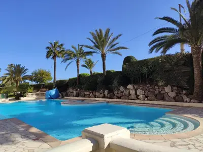 a swimming pool with palm trees and a rock wall at L'Estérel in Cannes