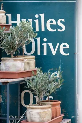 a sign with potted plants in pots on a shelf at Near Croisette- 4 Star Studio -SeaView in Cannes