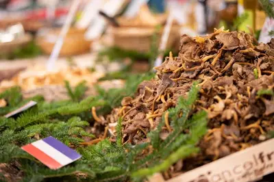 a close up of a pile of insects in a box at Near Croisette- 4 Star Studio -SeaView in Cannes