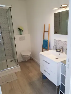 a bathroom with a toilet and a sink and a shower at A little Eden in Le Cannet