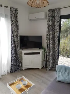 a living room with a tv and a coffee table at A little Eden in Le Cannet
