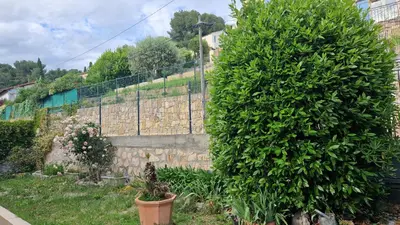 a large green bush next to a stone wall at A little Eden in Le Cannet