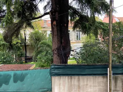 a tree behind a fence next to a tree at Studio and gallery in Cannes
