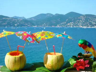 a couple of coconuts with umbrellas and a bird at ToiTmer in Cannes