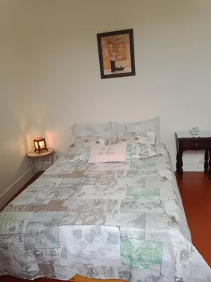 a bedroom with a large bed with a comforter at CANNES in Cannes
