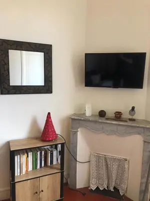 a living room with a fireplace with a tv above it at CANNES in Cannes