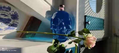 a blue vase with a flower in a vase at CANNES TOIT ET MOI in Cannes