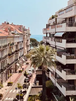 a city street with a palm tree in front of buildings at Appartement privé vue mer Cannes centre Gray d'Albion in Cannes