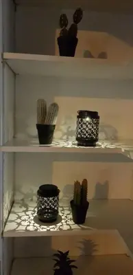 a shelf with cactuses and plants on it at Le Castille - à deux pas des plages in Cannes