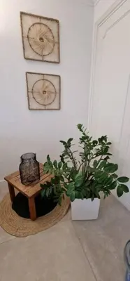 a room with a table and a potted plant on the floor at Le Castille - à deux pas des plages in Cannes