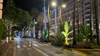an empty street at night with palm trees and buildings at Village Croisette in Cannes