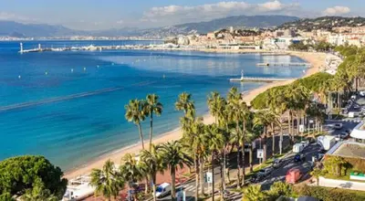a view of a beach with palm trees and the ocean at Romantic and new apartment in the famous Rue Meynadier in the supercentre of Cannes in Cannes