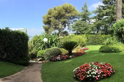 a garden with green grass and flowers and bushes at Studio 