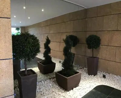 three potted trees in pots on a wall at Studio AC 