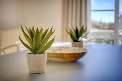 two potted plants sitting on a table with a bowl at IMMOGROOM - Magnificent 180m duplex apartment - Parking - Air conditioning in Cannes