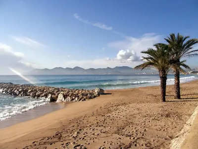 a beach with two palm trees and the ocean at Cannes Plage in Cannes