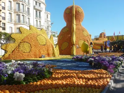 a display of oranges and flowers in front of a building at Mimosa in Cannes