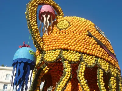 an octopus made out of oranges at Mimosa in Cannes