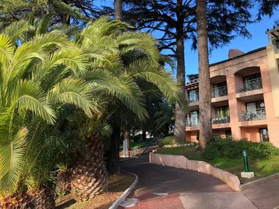 a palm tree in front of a building at Flo & Rose Azur - Duplex vue mer terrasses piscine jardins parking in Cannes