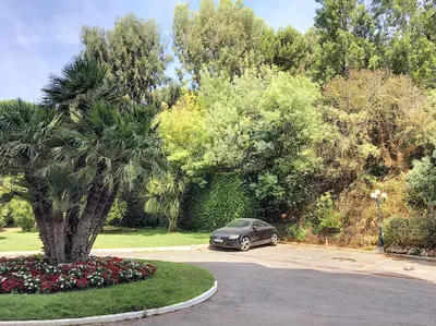 a car parked in a parking lot next to a tree at FRGK 