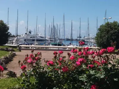a bunch of pink roses in front of a marina at T3 Pte Croisette Vue mer Plage à 100m in Cannes