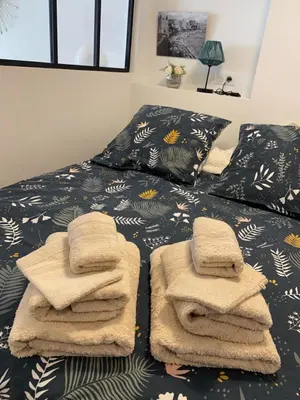 a bedroom with a bed with towels on it at Studio 30 M2 Hyper centre, Neuf, Parking Gratuit, 3 Étoiles in Cannes